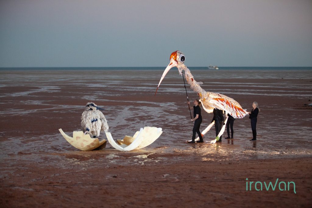 Shorebirds quest 2023